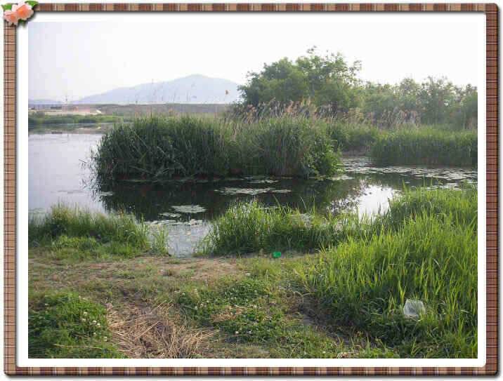 경산권 소식입니다 (조황조행기 - 낚시점조황)