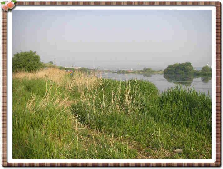 경산권 조황정보입니다 (조황조행기 - 낚시점조황)