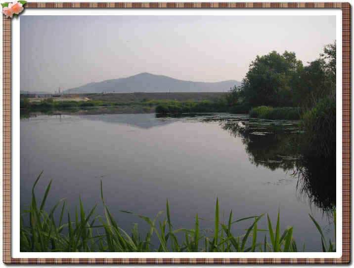 경산권 조황정보입니다 (조황조행기 - 낚시점조황)