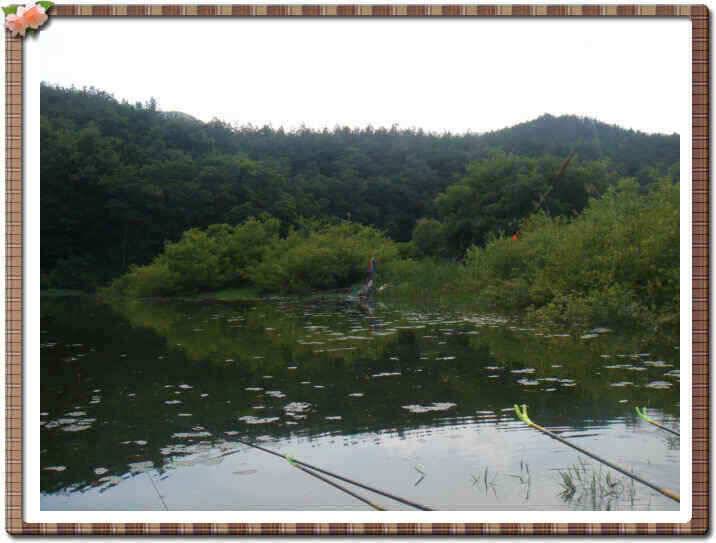 청통권 저수지 현황입니다 (조황조행기 - 낚시점조황)