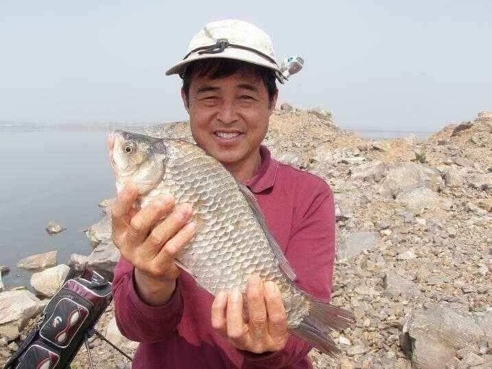 천수만부남호 6월15일 혹부리 43cm 대물조황 (조황조행기 - 낚시점조황)