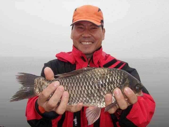 천수만부남호 6월15일 혹부리 43cm 대물조황 (조황조행기 - 낚시점조황)
