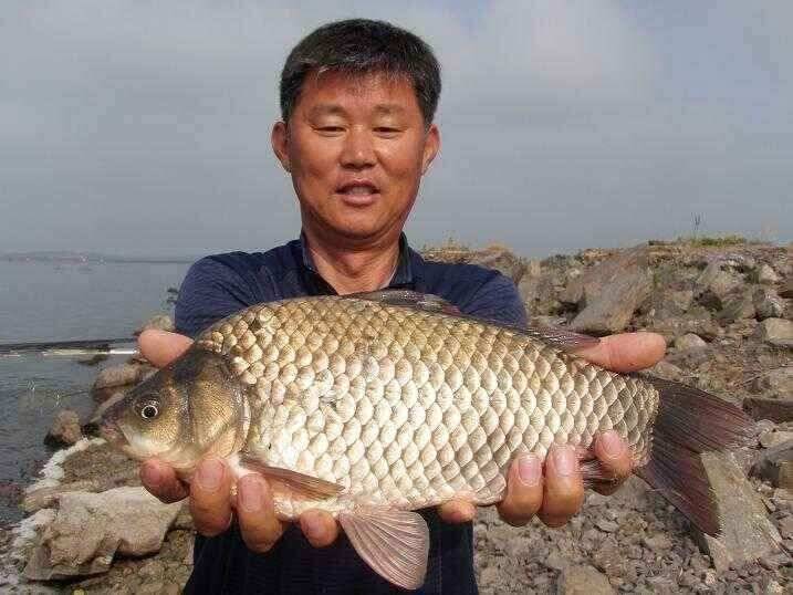 천수만부남호 6월21일 42cm와 대물행진 조황 (조황조행기 - 낚시점조황)