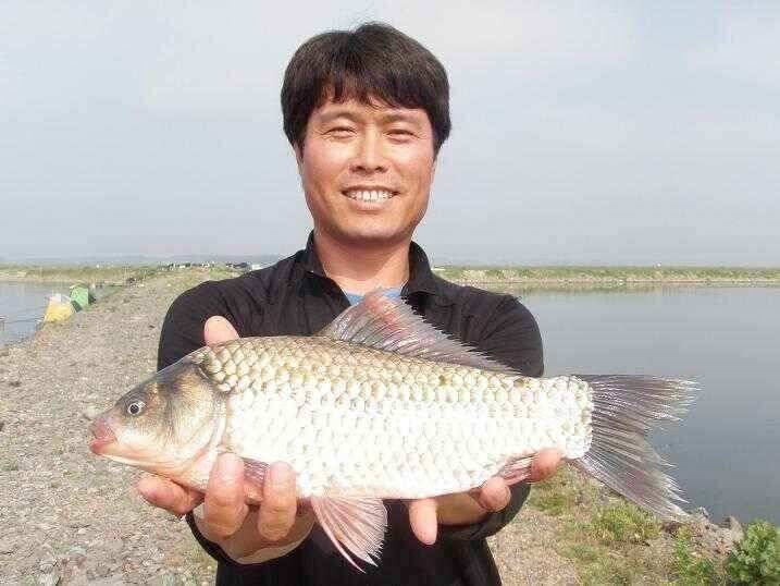 천수만부남호 6월21일 42cm와 대물행진 조황 (조황조행기 - 낚시점조황)