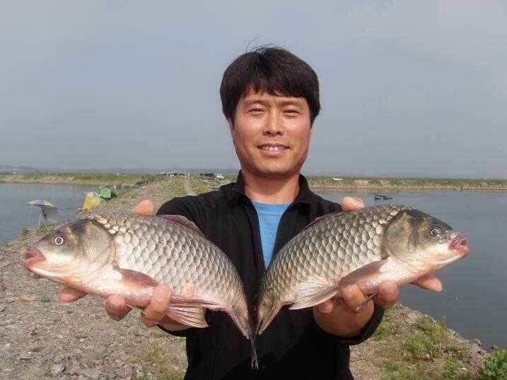천수만부남호 6월21일 42cm와 대물행진 조황 (조황조행기 - 낚시점조황)