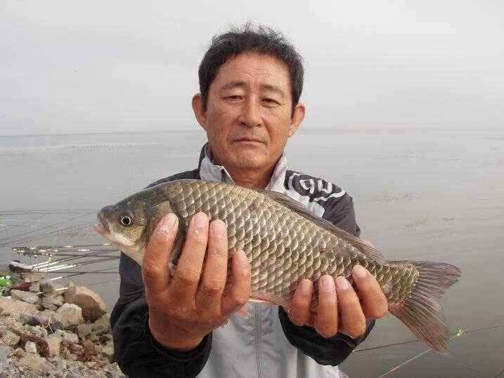 천수만부남호 6월21일 42cm와 대물행진 조황 (조황조행기 - 낚시점조황)