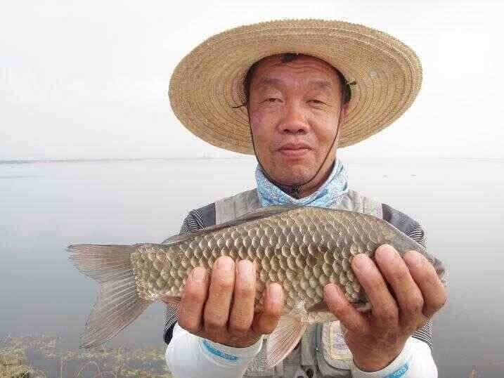 천수만부남호 6월21일 42cm와 대물행진 조황 (조황조행기 - 낚시점조황)