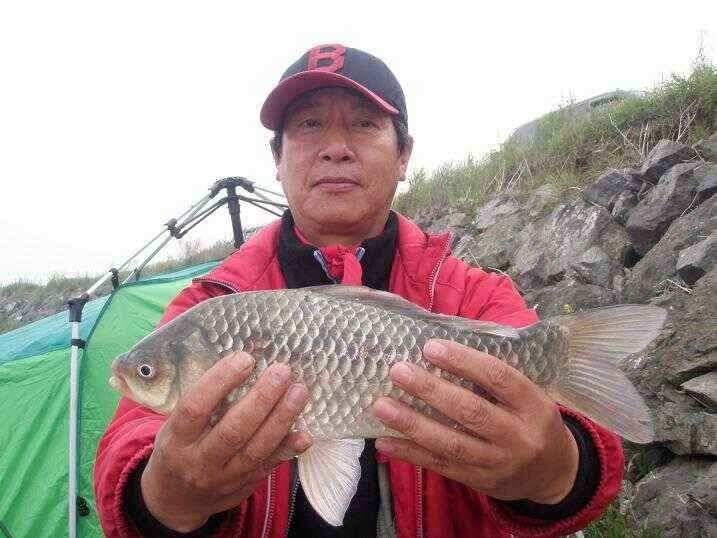천수만부남호 5월25일 41cm외 마리수조황 (조황조행기 - 낚시점조황)