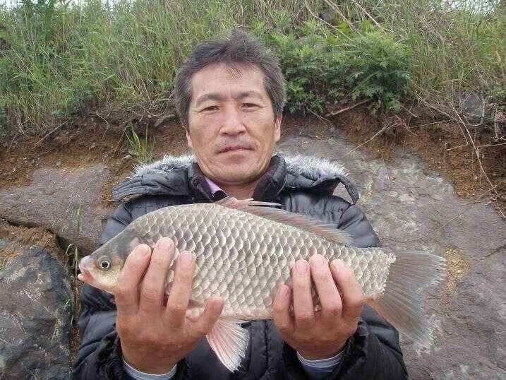 천수만부남호 6월12일 41cm와 오름수위 조황 (조황조행기 - 낚시점조황)