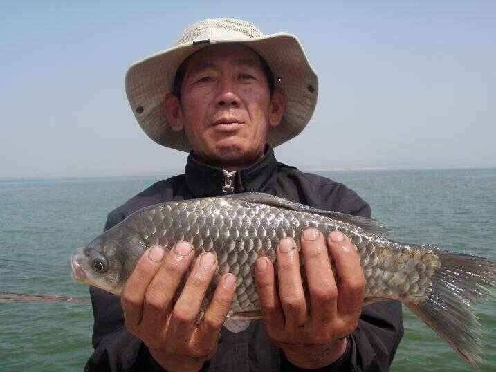 천수만부남호 5월2829일 41cm와 마리수조황 (조황조행기 - 낚시점조황)