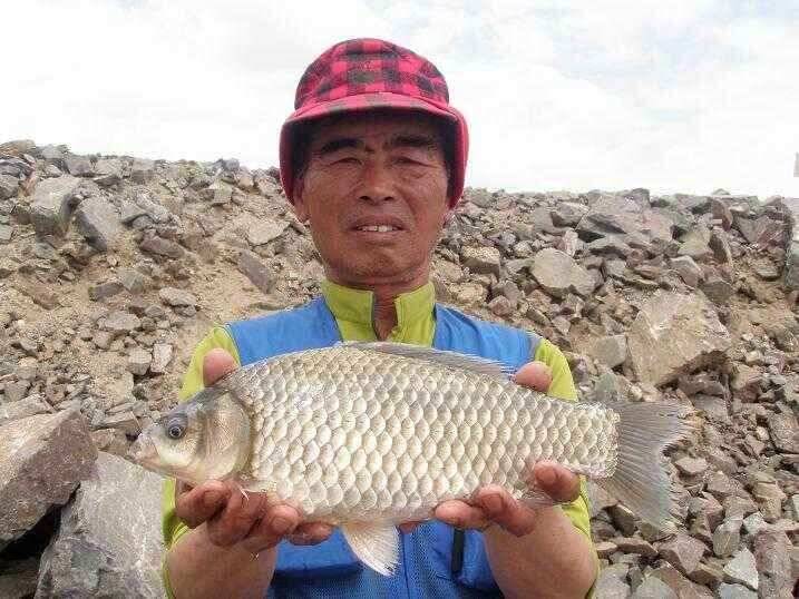 천수만부남호 5월27일 40cm급 마리수조황 (조황조행기 - 낚시점조황)