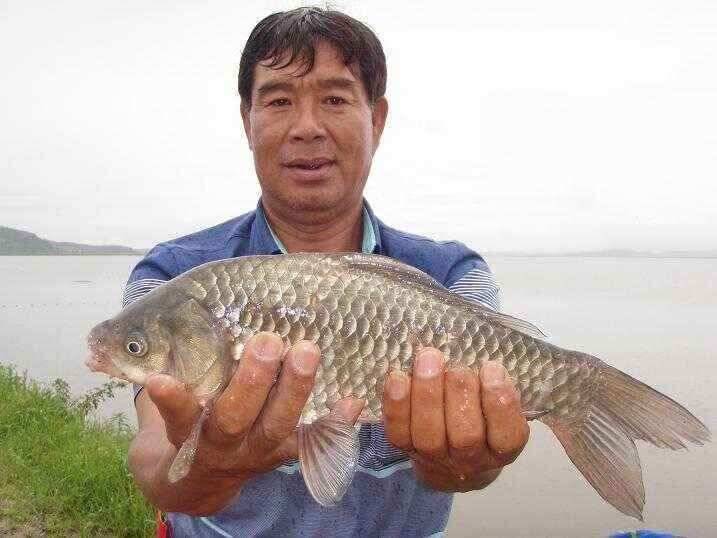 천수만부남호 7월11일 혹부리39cm와 대물마리수 조황 (조황조행기 - 낚시점조황)