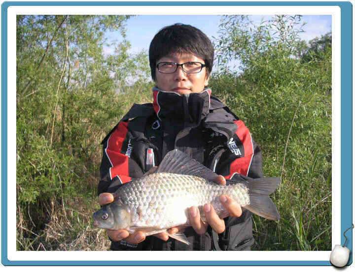 경산권 조황정보입니다 (조황조행기 - 낚시점조황)