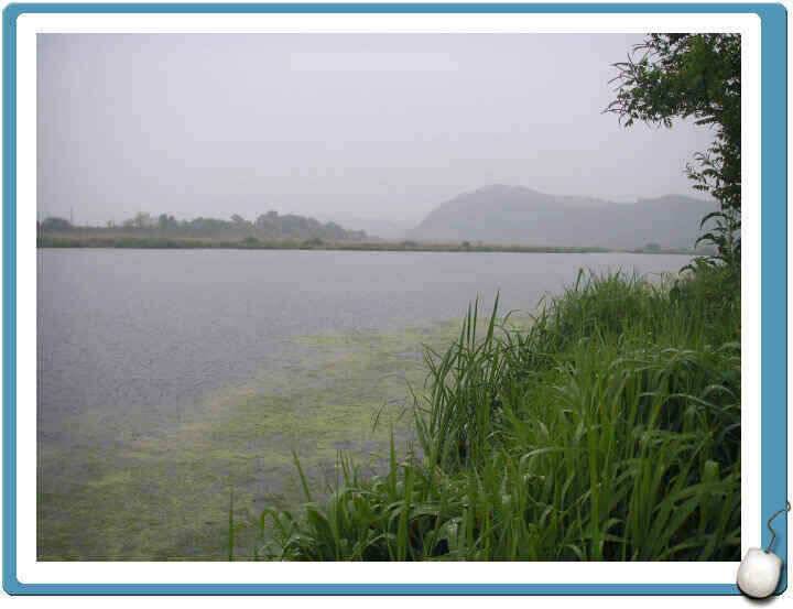 경산권 조황정보입니다 (조황조행기 - 낚시점조황)