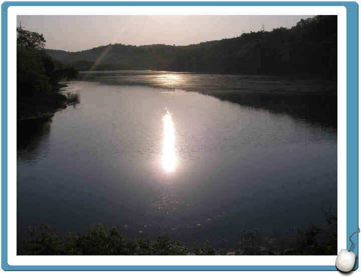 경산권 조황정보입니다 (조황조행기 - 낚시점조황)