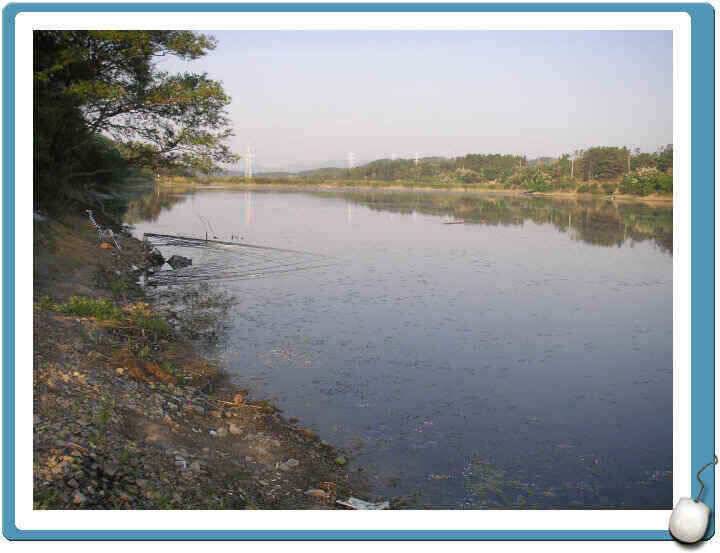 경산권 조황정보입니다 (조황조행기 - 낚시점조황)