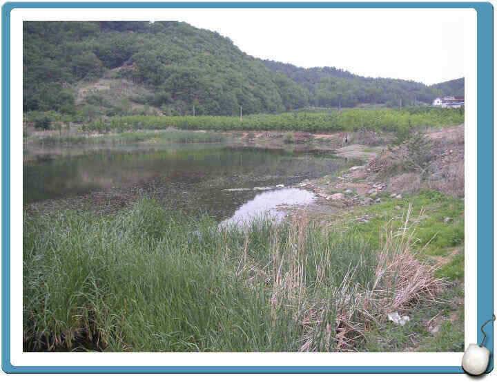 경산권 조황정보입니다 (조황조행기 - 낚시점조황)