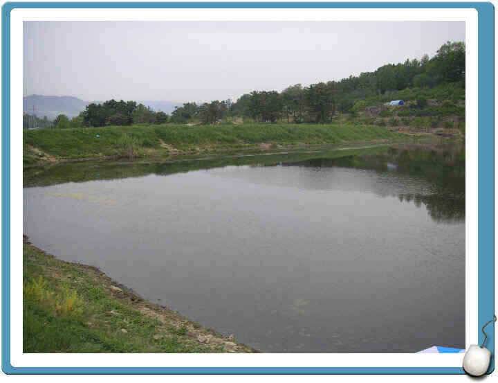 경산권 조황정보입니다 (조황조행기 - 낚시점조황)
