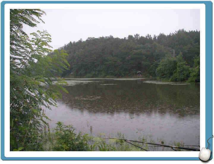 7월마지막주 조황정보입니다 (조황조행기 - 낚시점조황)