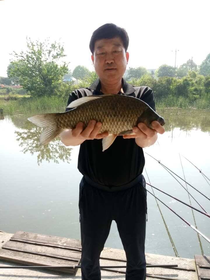 충주탄금호낚시 대물49cm (조황조행기 - 낚시점조황)