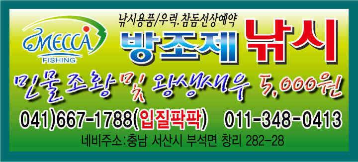 천수만부남호 5월15일 41cm와 마릿수 조황 (조황조행기 - 낚시점조황)