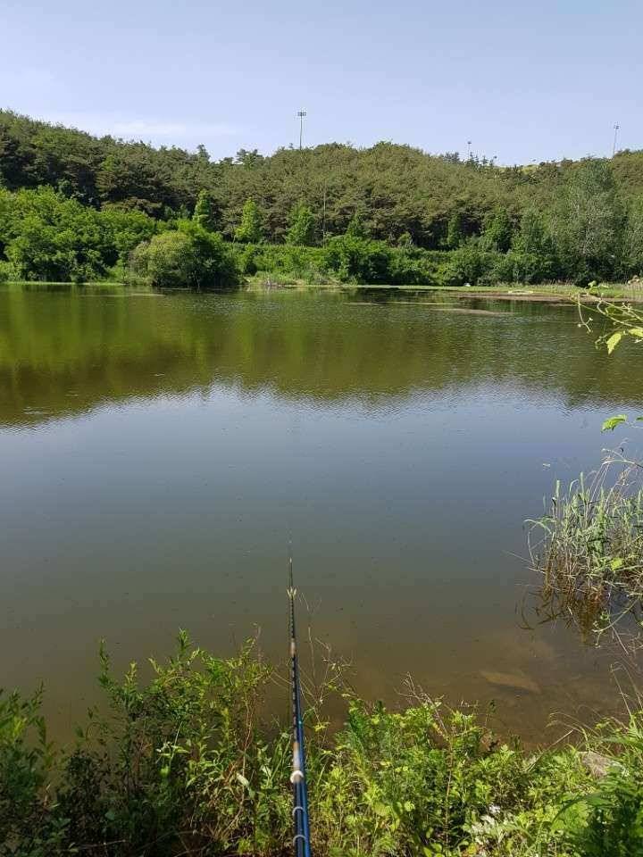 창녕권 토종터 (조황조행기 - 낚시점조황)