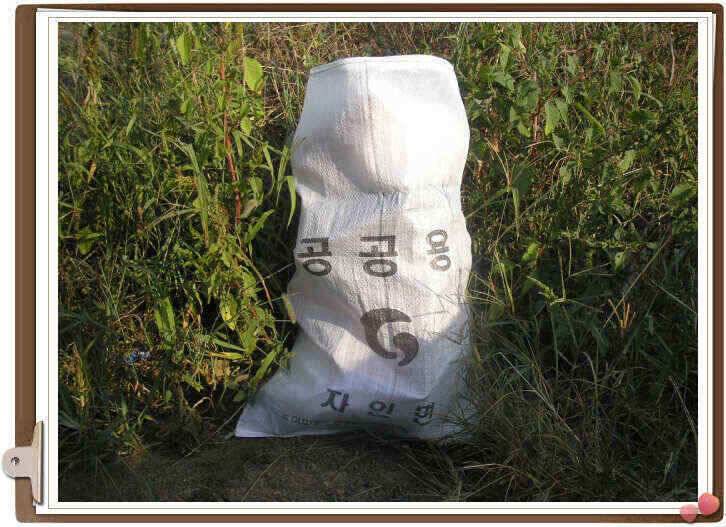 천고마비 (조황조행기 - 낚시점조황)