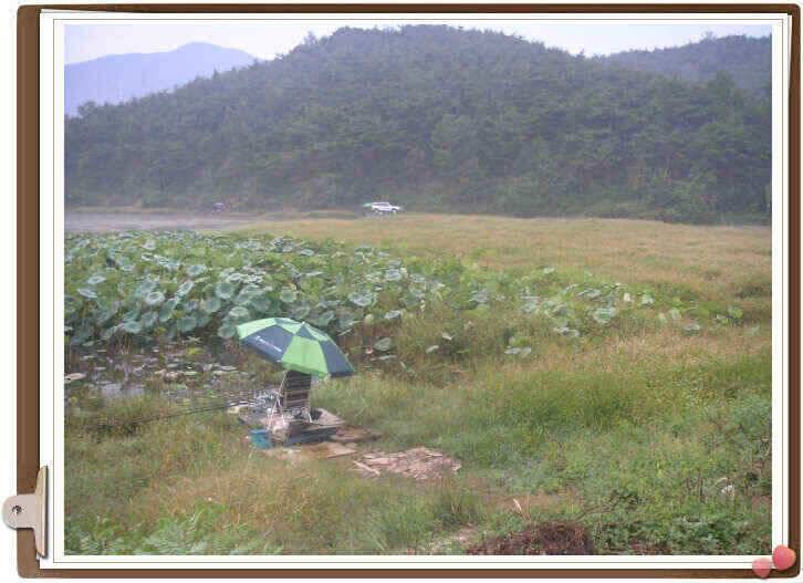 천고마비 (조황조행기 - 낚시점조황)