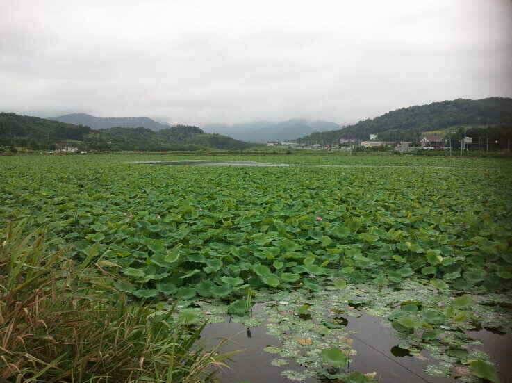 지금 출발 하십시요 (조황조행기 - 낚시점조황)