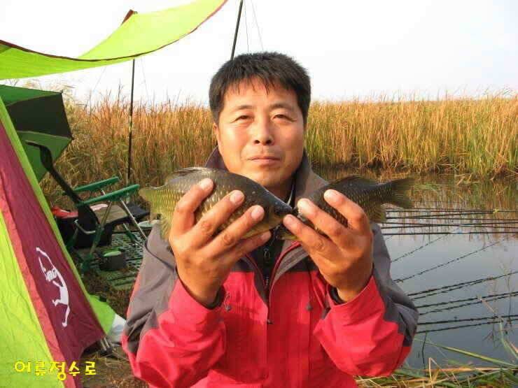 주말 강화권 조황정보 (조황조행기 - 낚시점조황)
