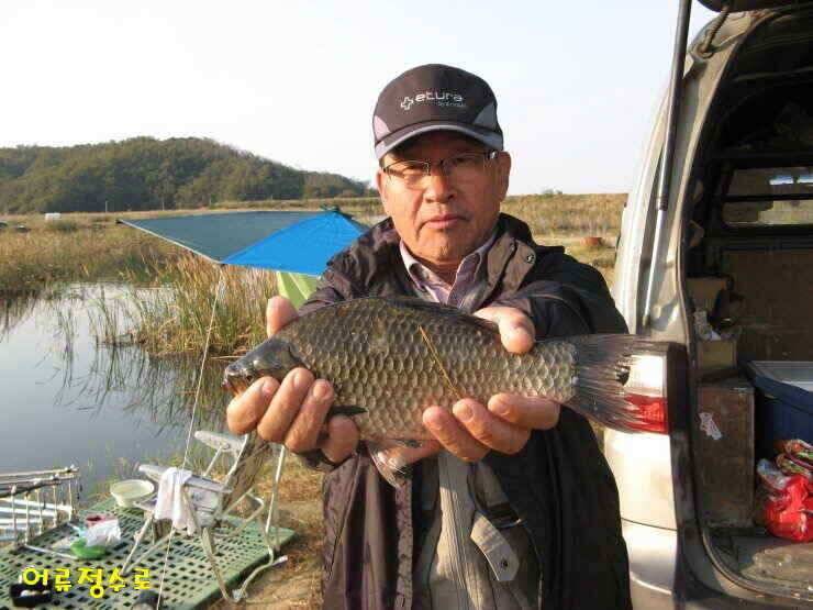 주말 강화권 조황정보 (조황조행기 - 낚시점조황)