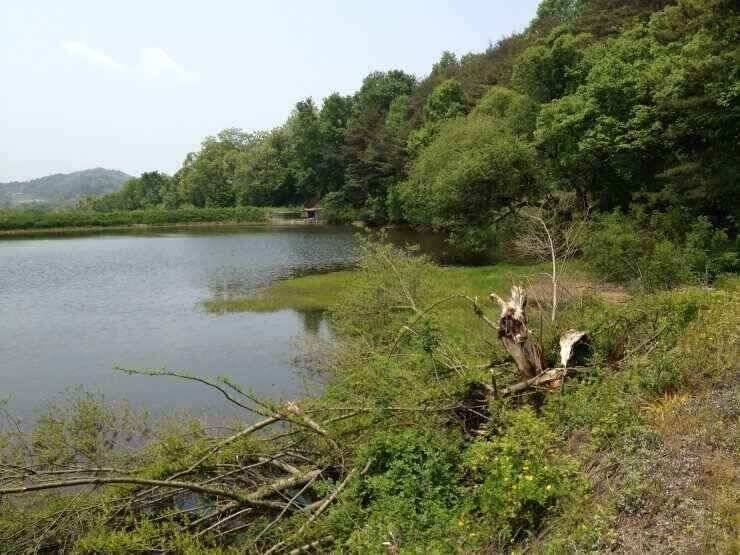 즐거운 출조길 (조황조행기 - 낚시점조황)