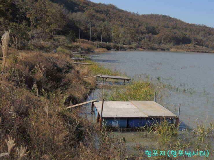 강화권 11월 1주차 주중 조황정보 입니다 (조황조행기 - 낚시점조황)