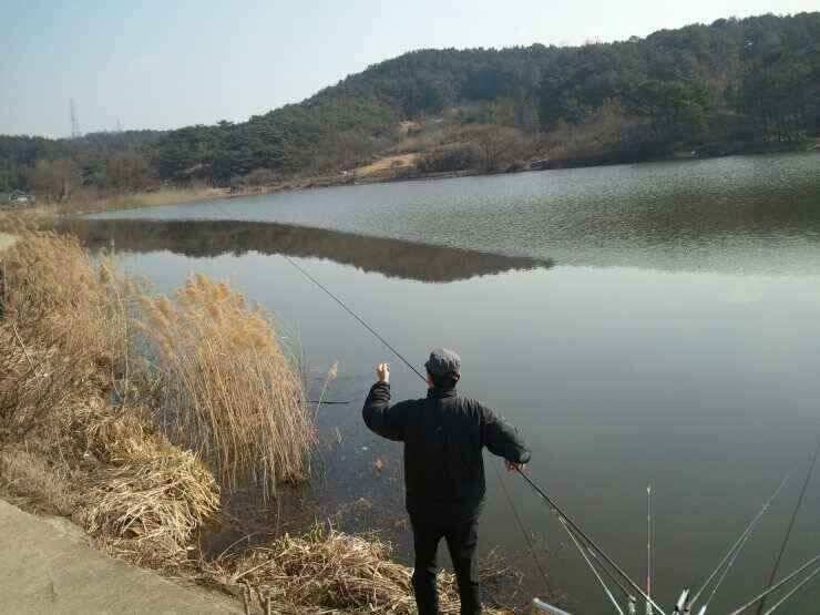 서서히 올라오고 있습니다 (조황조행기 - 낚시점조황)