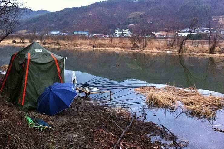 서서히 올라오고 있습니다 (조황조행기 - 낚시점조황)