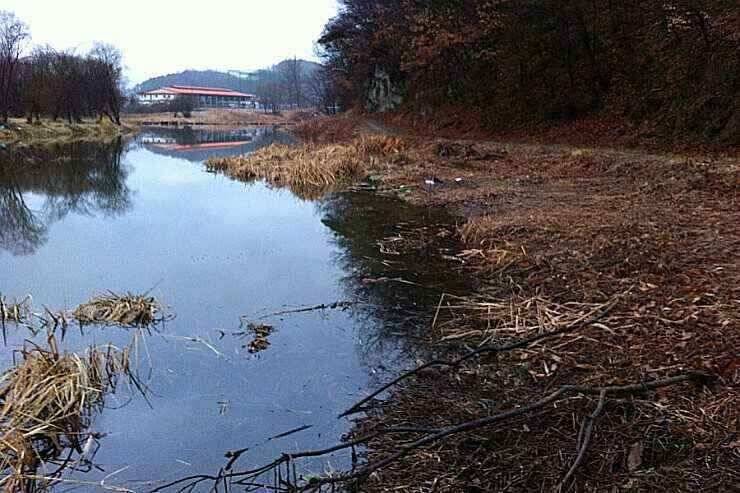 서서히 올라오고 있습니다 (조황조행기 - 낚시점조황)