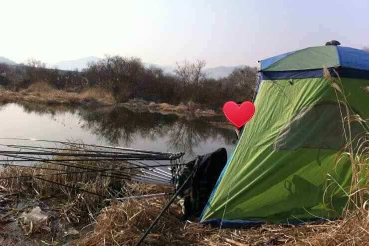 서서히 올라오고 있습니다 (조황조행기 - 낚시점조황)