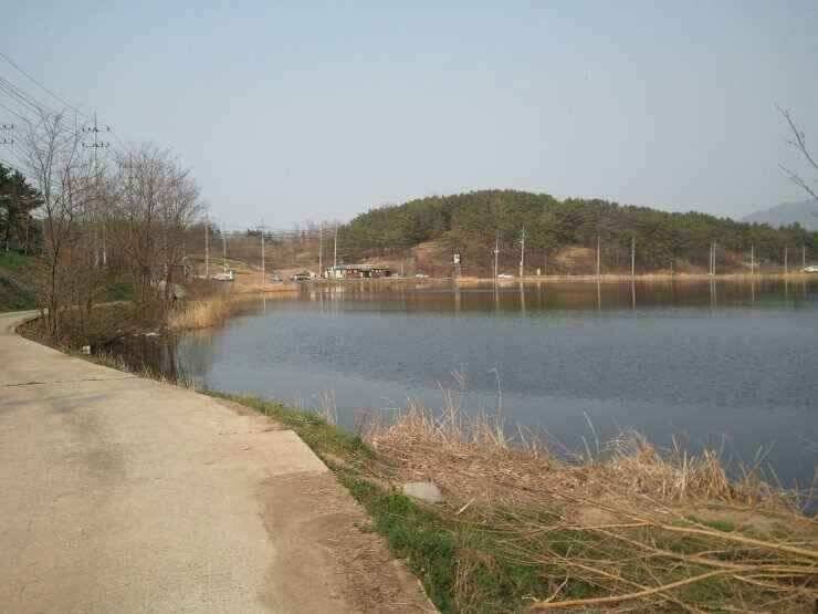 이제는 노릴때 입니다 (조황조행기 - 낚시점조황)