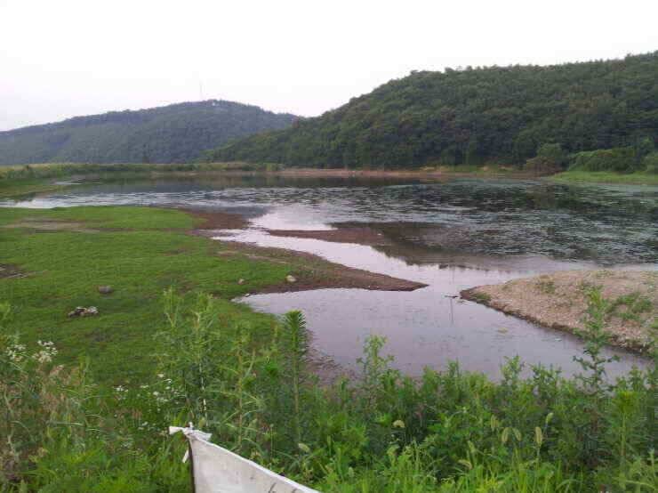 지금 출발 하십시요 (조황조행기 - 낚시점조황)
