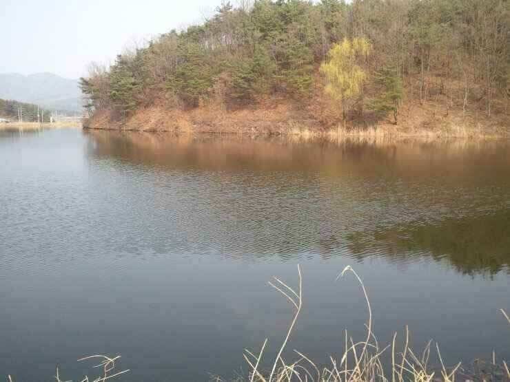 이제는 노릴때 입니다 (조황조행기 - 낚시점조황)