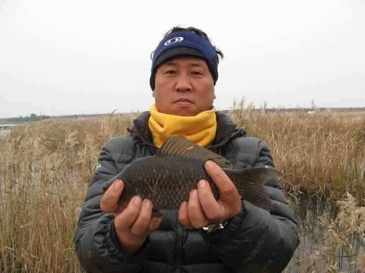 강화권 11월 2주차 조황정보 (조황조행기 - 낚시점조황)