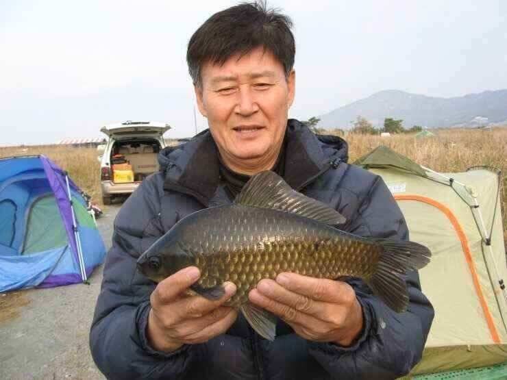 강화권 11월 2주차 조황정보 (조황조행기 - 낚시점조황)