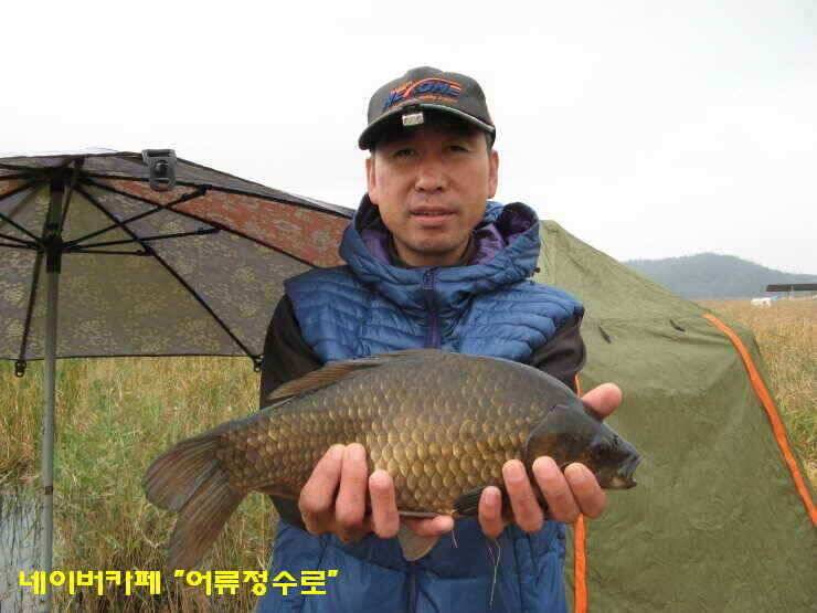 강화권 4주차 주중 주말조황 (조황조행기 - 낚시점조황)