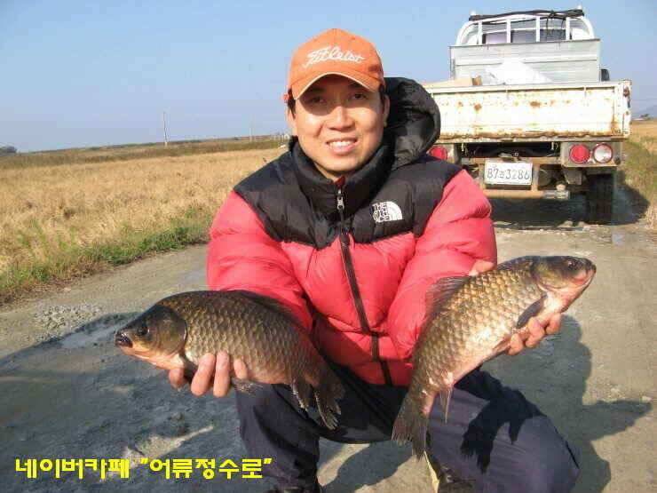 강화권 4주차 주중 주말조황 (조황조행기 - 낚시점조황)