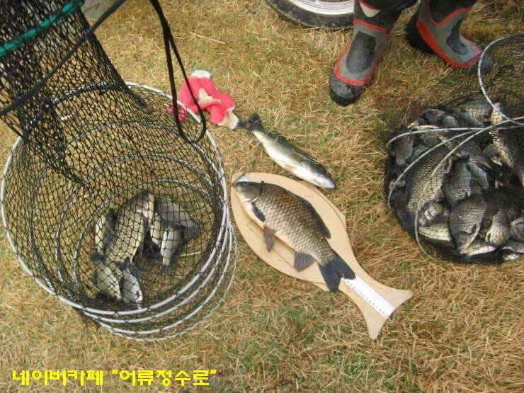 강화권 4주차 주중 주말조황 (조황조행기 - 낚시점조황)