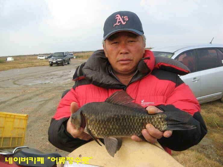강화권 4주차 주중 주말조황 (조황조행기 - 낚시점조황)
