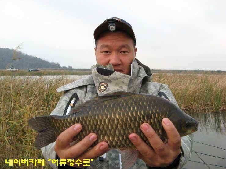 강화권 4주차 주중 주말조황 (조황조행기 - 낚시점조황)