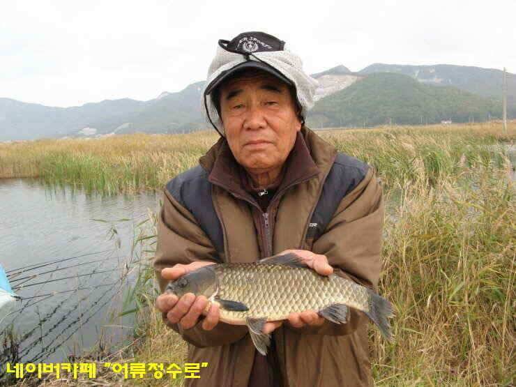 강화권 4주차 주중 주말조황 (조황조행기 - 낚시점조황)