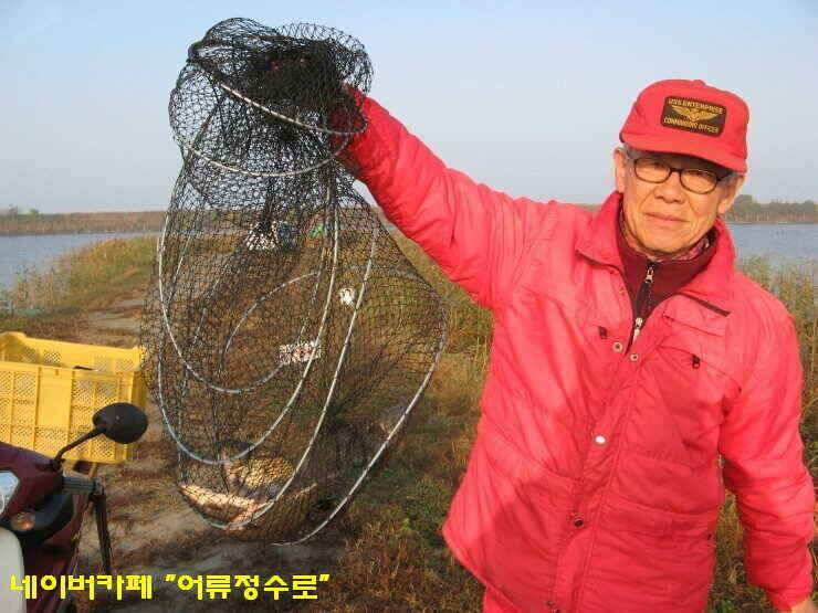 강화권 4주차 주중 주말조황 (조황조행기 - 낚시점조황)