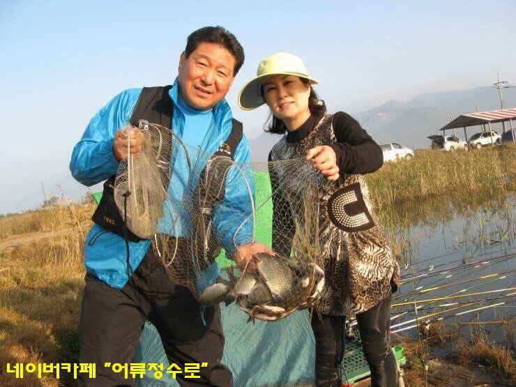 강화권 4주차 주중 주말조황 (조황조행기 - 낚시점조황)